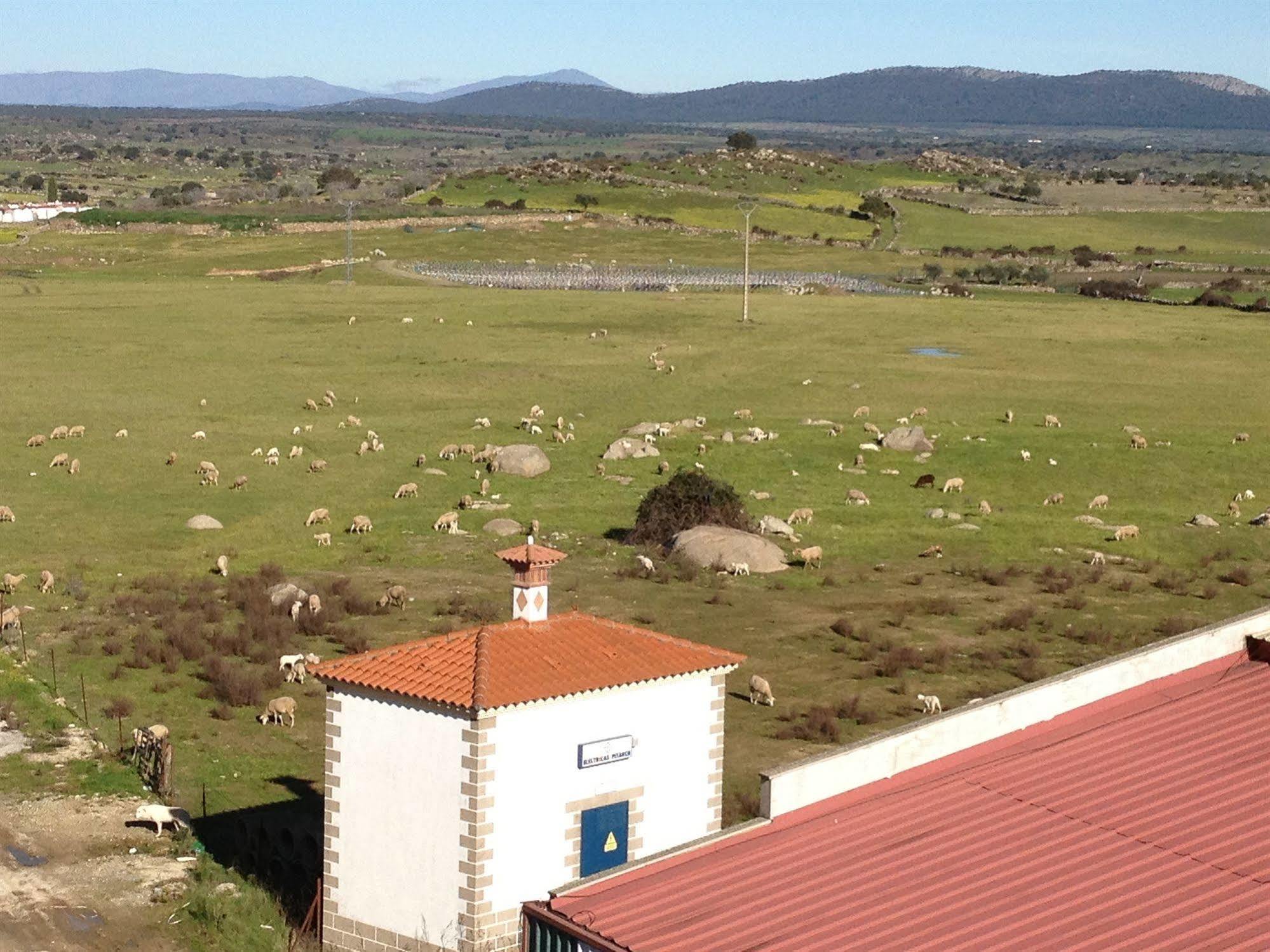 Appartamento Complejo Penafiel Zarza La Mayor Esterno foto